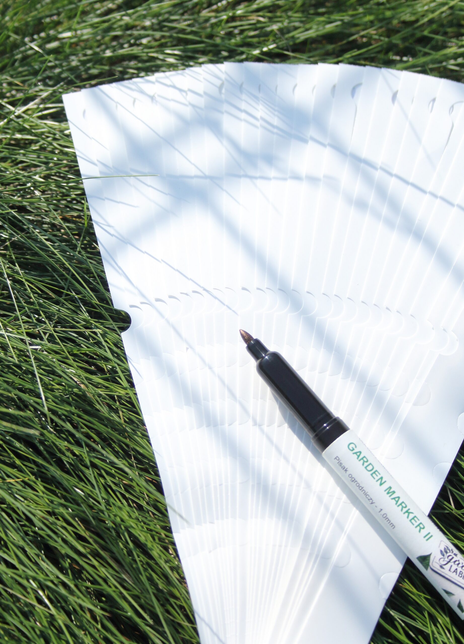 a222154d938aa2a79a13a747dc8944d2