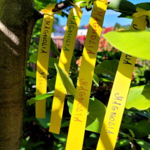 f6606a691960785277db3c09aaa99438