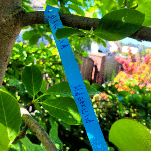 7e0cdfaf3156a3ea411a89b12db092e5