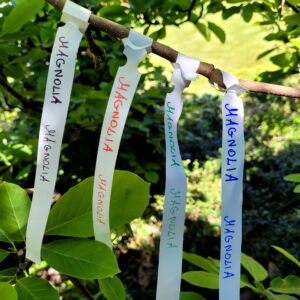 0772080d8bb159a713e6f3fa38d15ee7