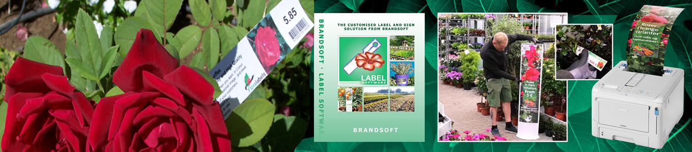 Etykiety wtykane - Pot Label 34 x 104 mm w rounded ends (16) A4 sheets (3591-300) FloraLabels - obrazek 5