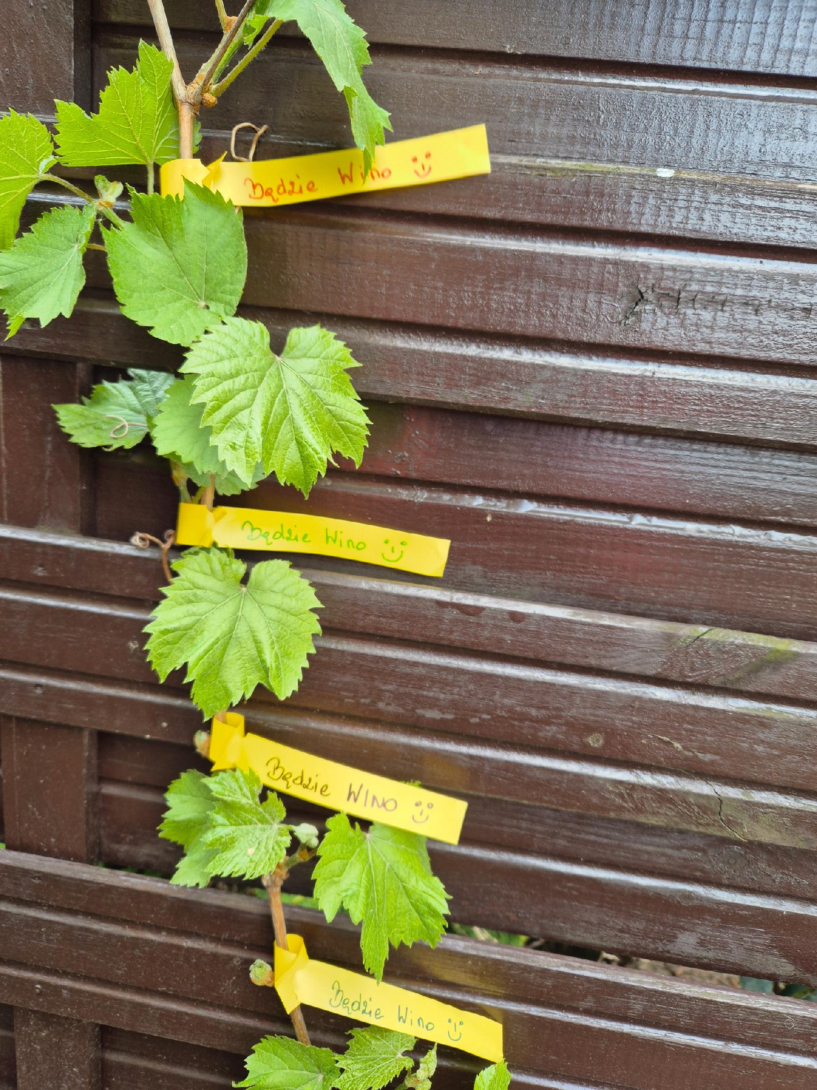 cc22dd0d7f3df2e5ca1f77a0663b67e5