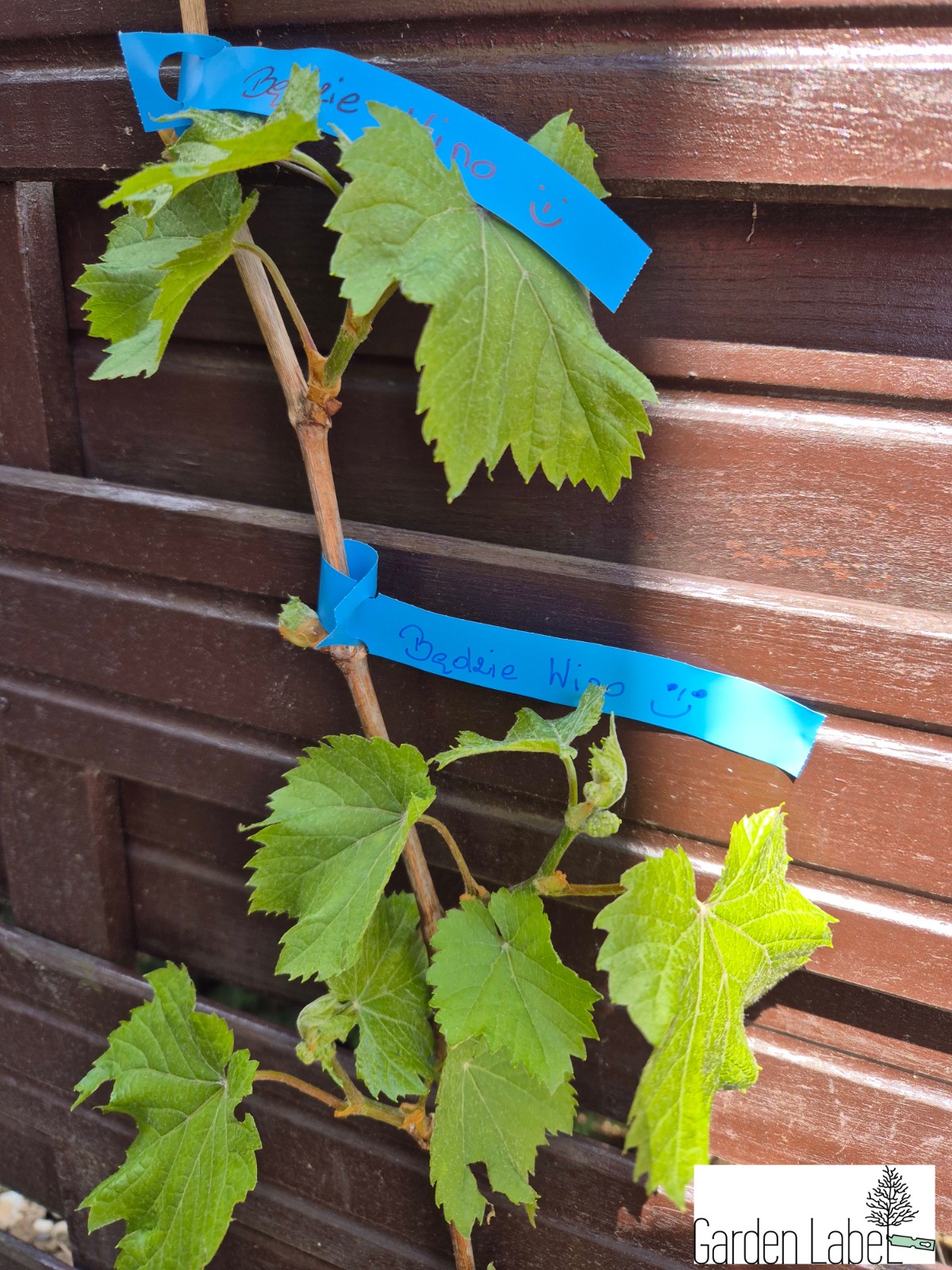 cfaf262cc9ee935065f0c0101c71271c