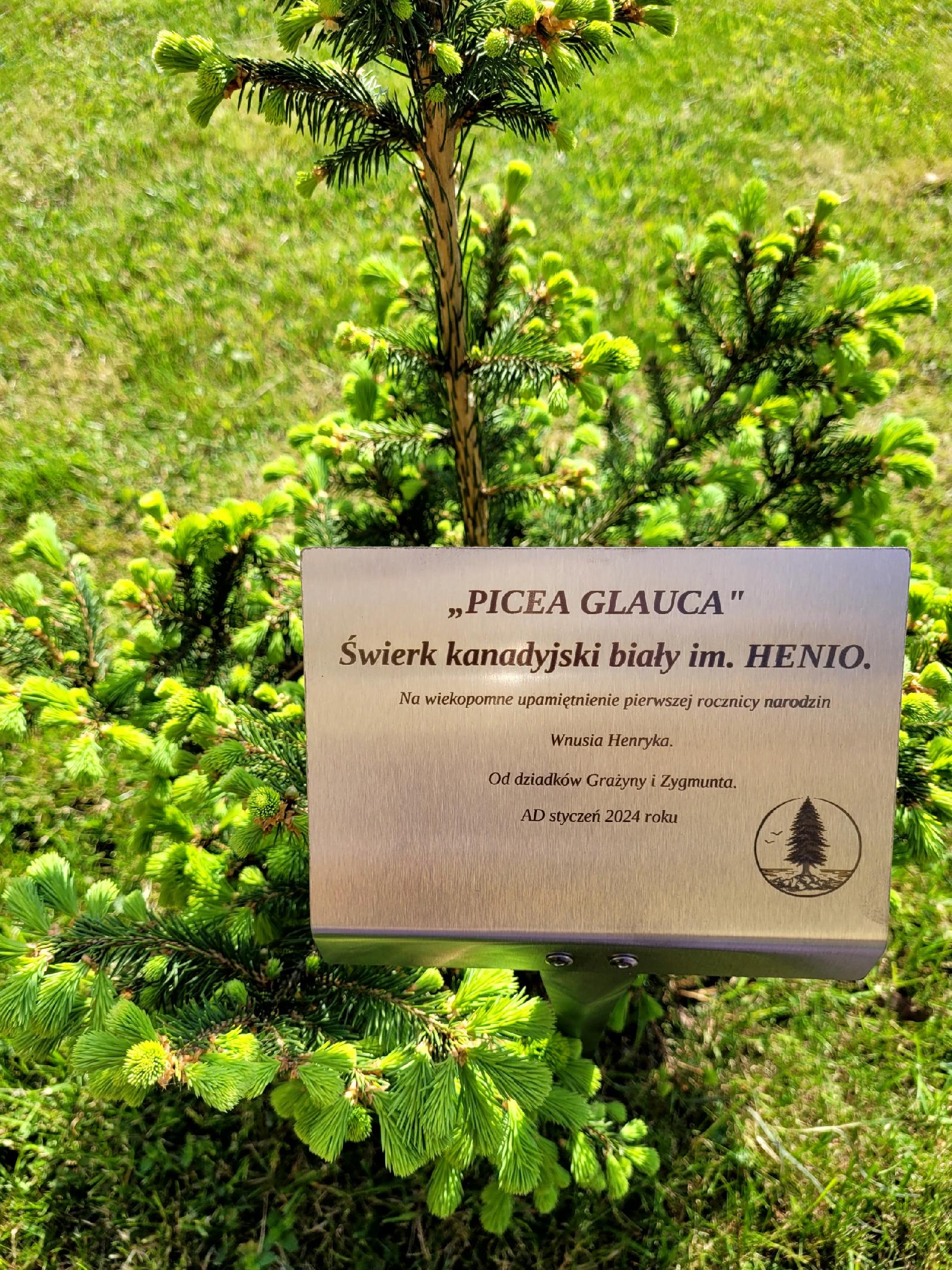 Elegancka tabliczka ogrodowa nierdzewna z grawerem, personalizowana 155x105 mm - obrazek 15