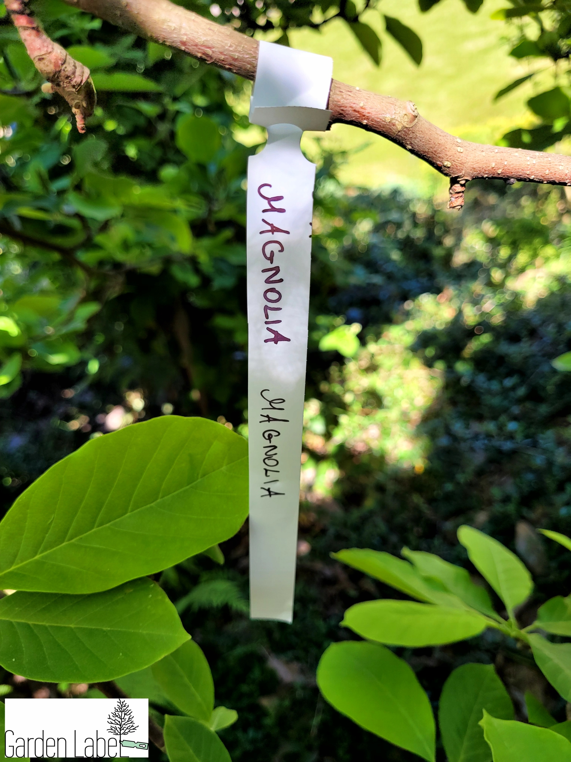 4194a9e93bfbadcfbb2f0a88e9bade38