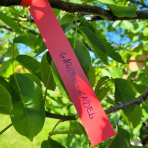 f2ab04c53833754e505d1407d1a09ae2