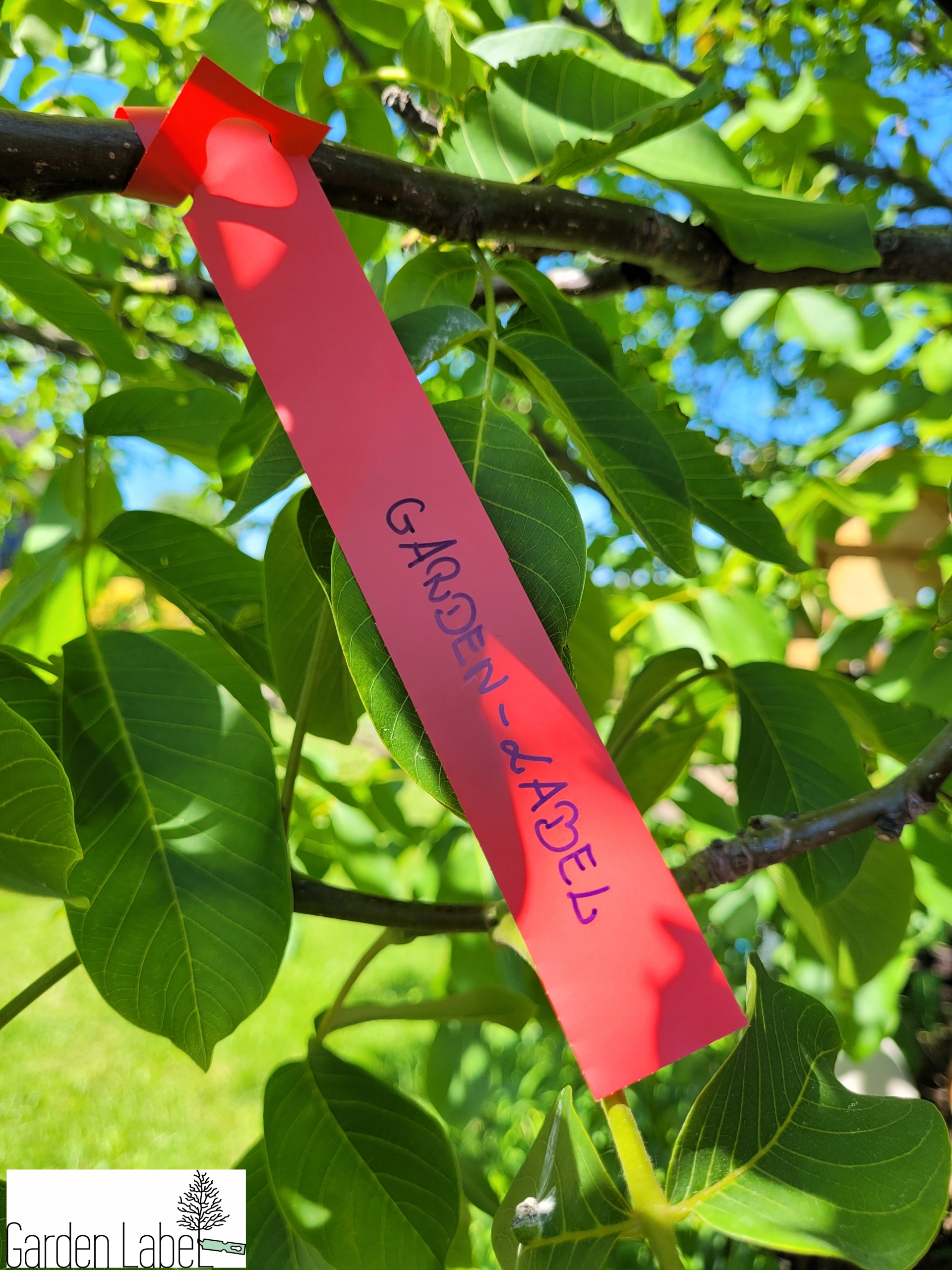 f2ab04c53833754e505d1407d1a09ae2