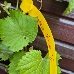 f3c63845353cf3536889d030f10aaa10