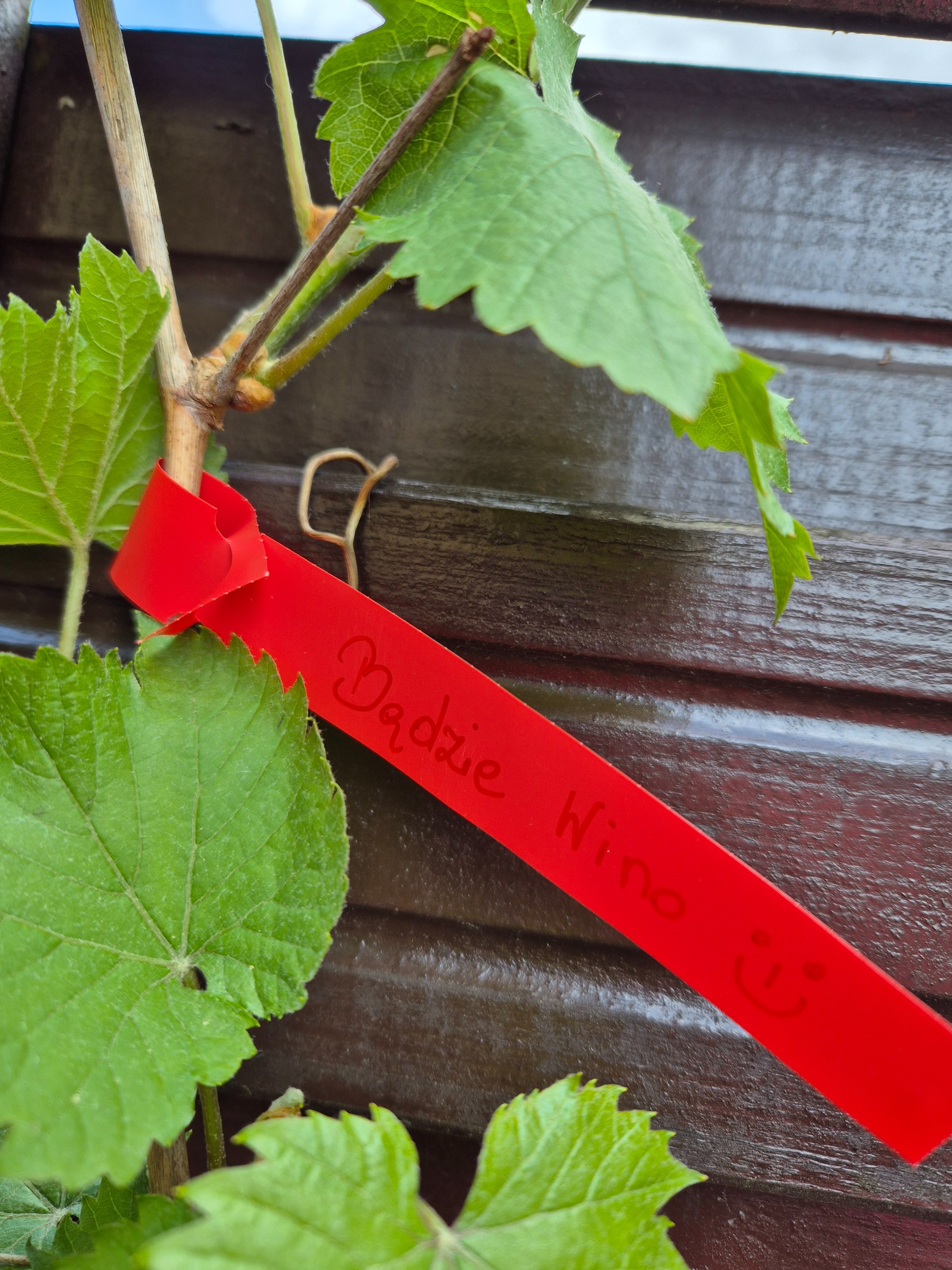 1b23b587da23d57b8ee5cb046c48aad5