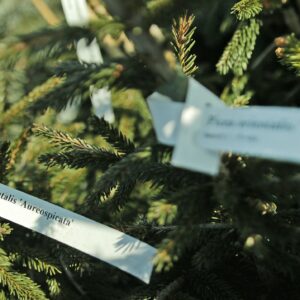 982d166d80a6bbf7901ad0c0ed3fee85