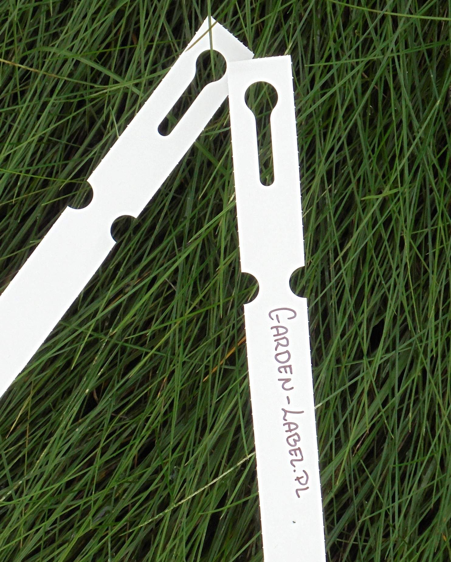 be3c76f961246e0e716fe1e8be8fbe02