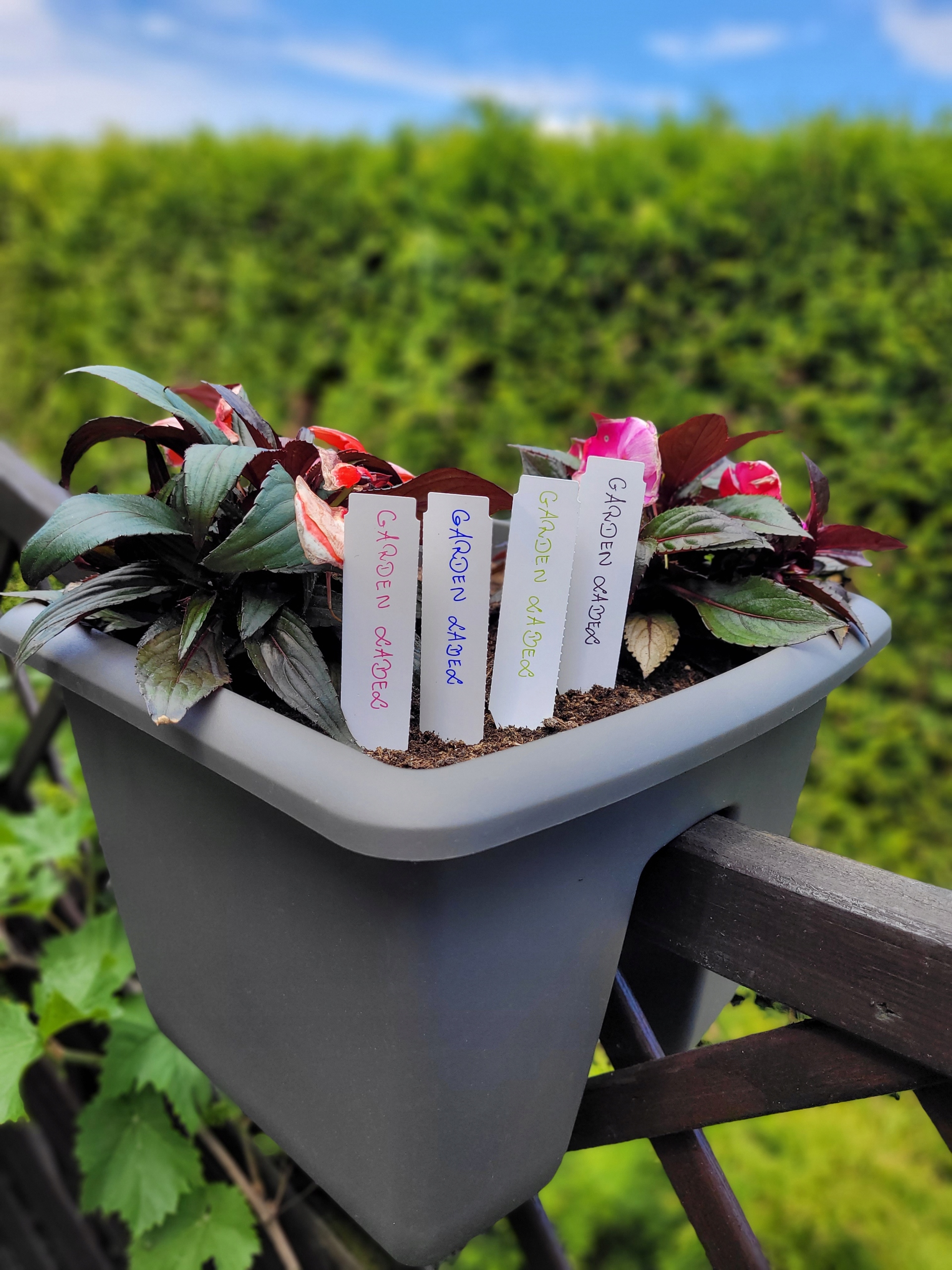 fbdabe5061a224d64baaf6cf4268888b