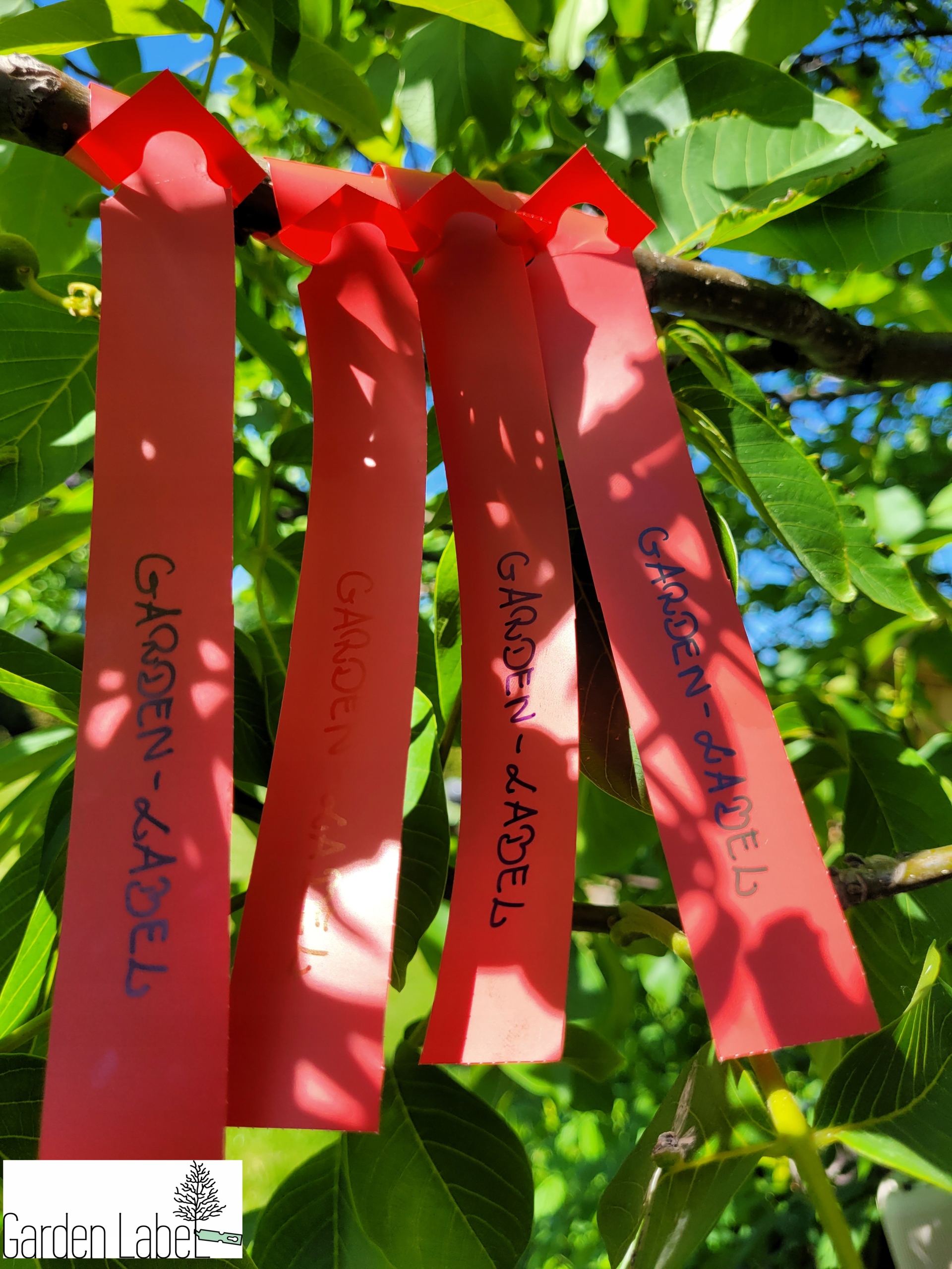 d4ff2acda1348374ca6f1e38723dd655