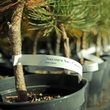 bfa459c889d4e2f94bbb555a35319cc8