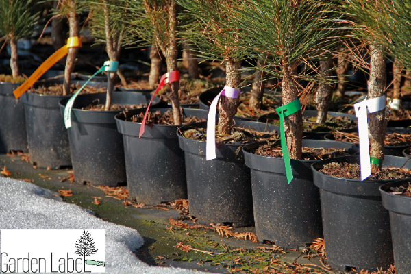 Etykiety ogrodnicze/sadownicze pętlowe BIAŁE 200x17mm(17x200) 1000szt - obrazek 6