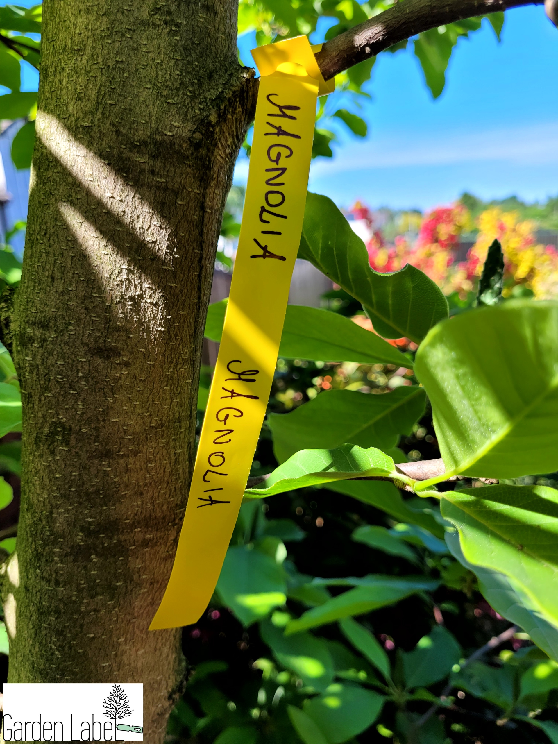 Etykiety ogrodnicze pętlowe ŻÓŁTE 250mm x 17mm - 100 sztuk do pisania - obrazek 2