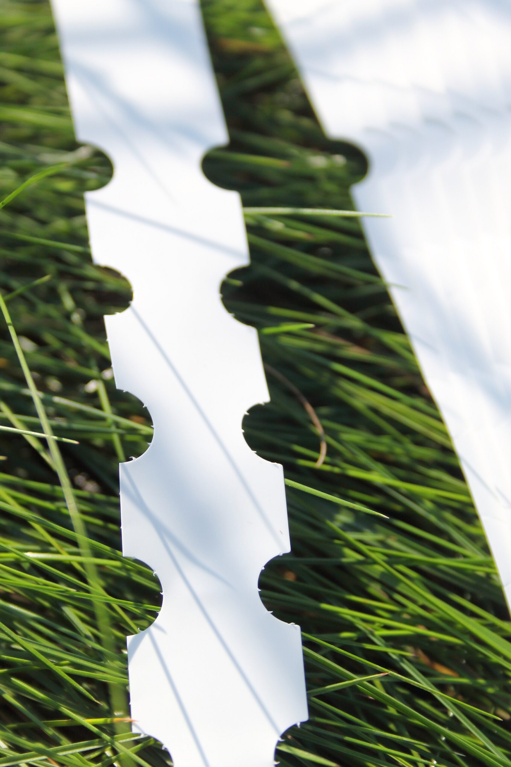 11469546ef393b77aa6f7ce29d32b25b