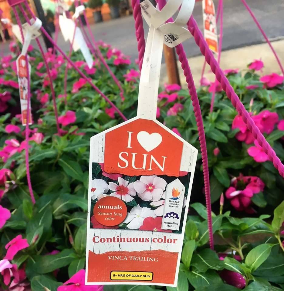 4b5e071864367c7e0315905d8140e25b