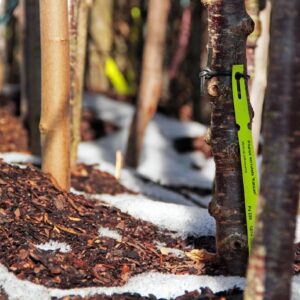 cc8463c2c50671fb6286533dd66a41bb