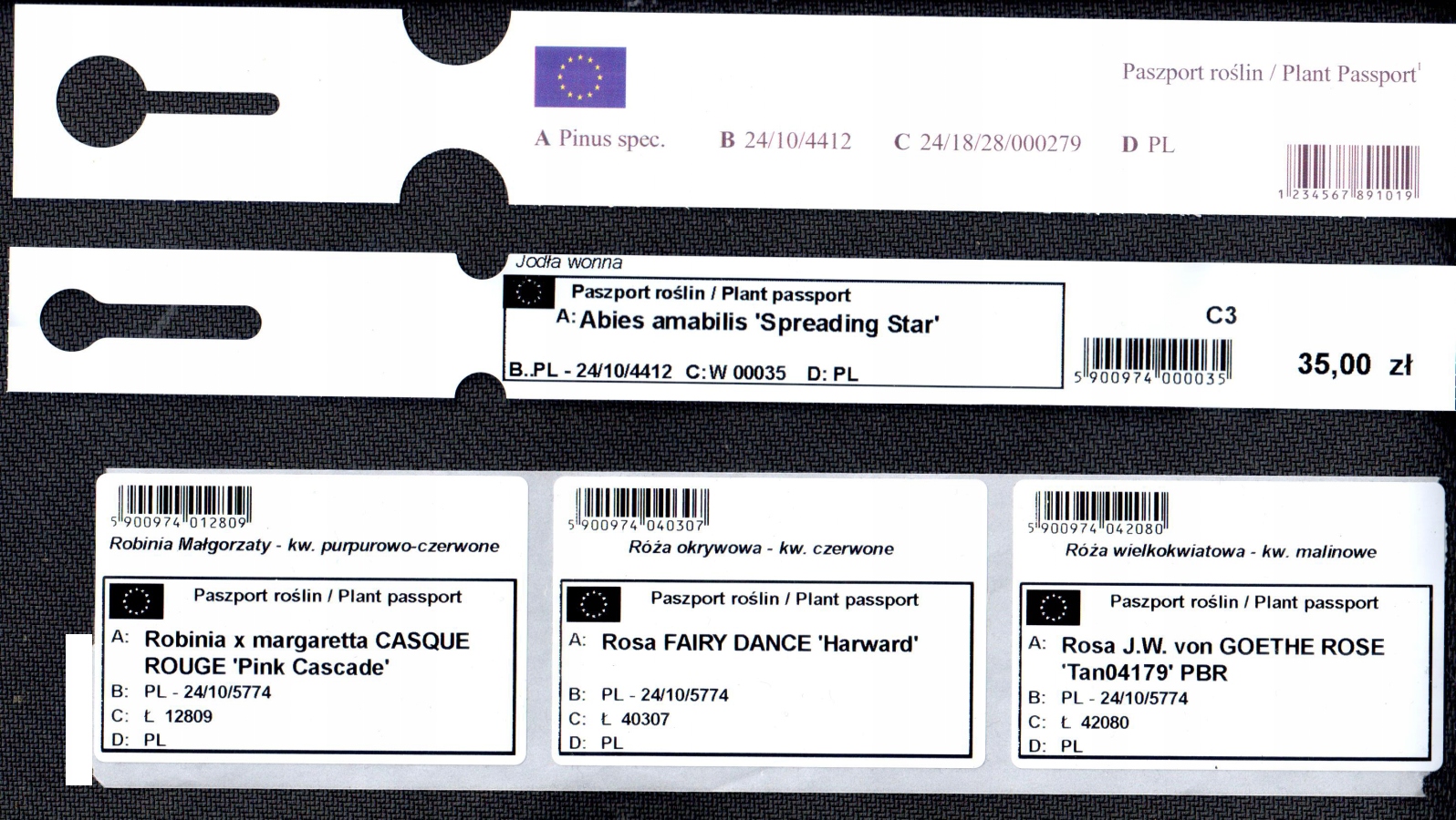 Etykiety folio pętlowe ogrodnicze Białe 300x20mm - 100 sztuk, regulowane 60-140 mm, odporne na warunki atmosferyczne - obrazek 13