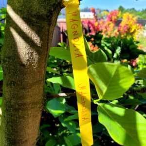 0859548d6e66732a7edea6a577416141