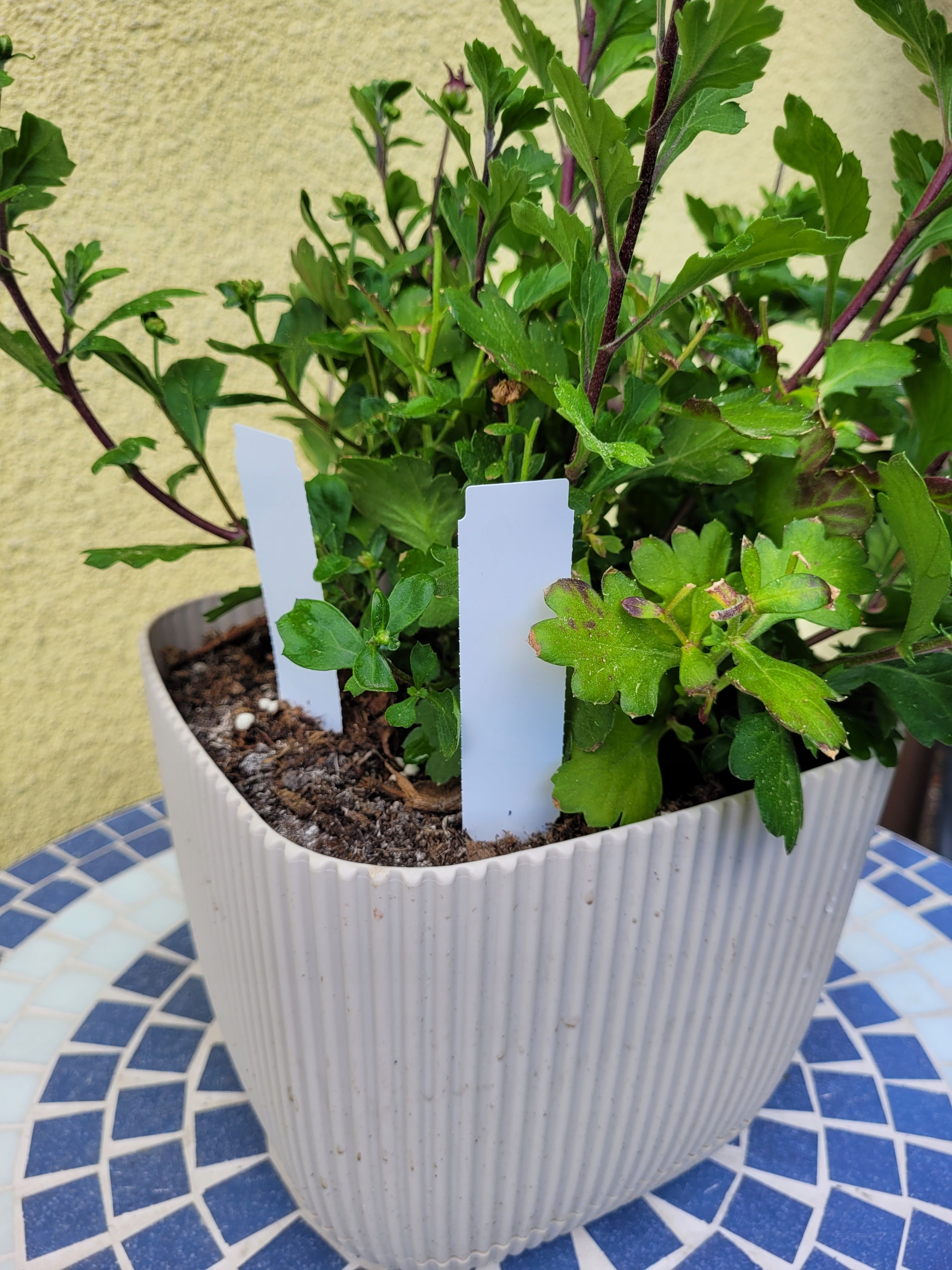 279c508bb14cd584c73655e8dc05c787