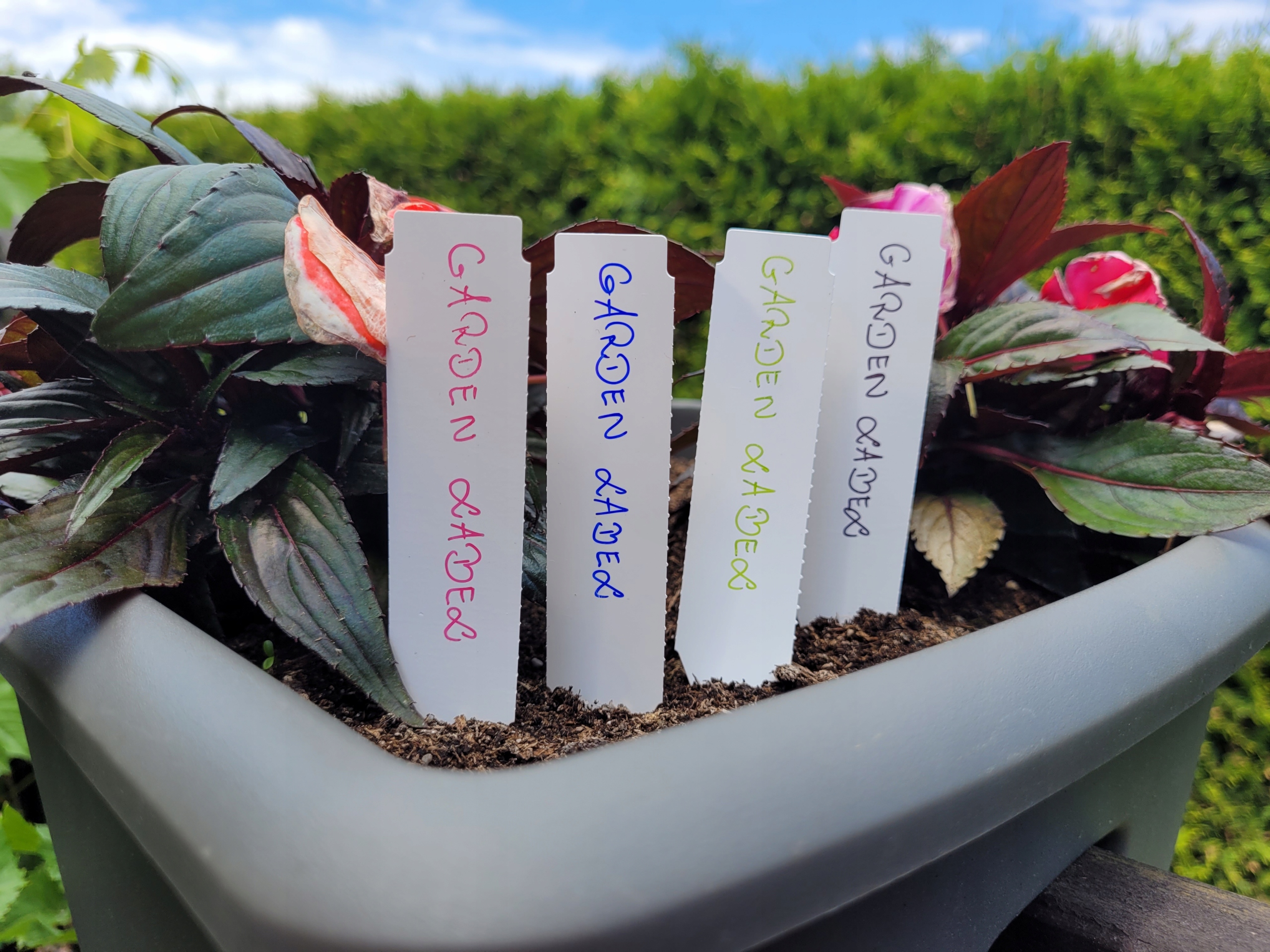 ec274e7124789fca61d1dbe8bb4af25b