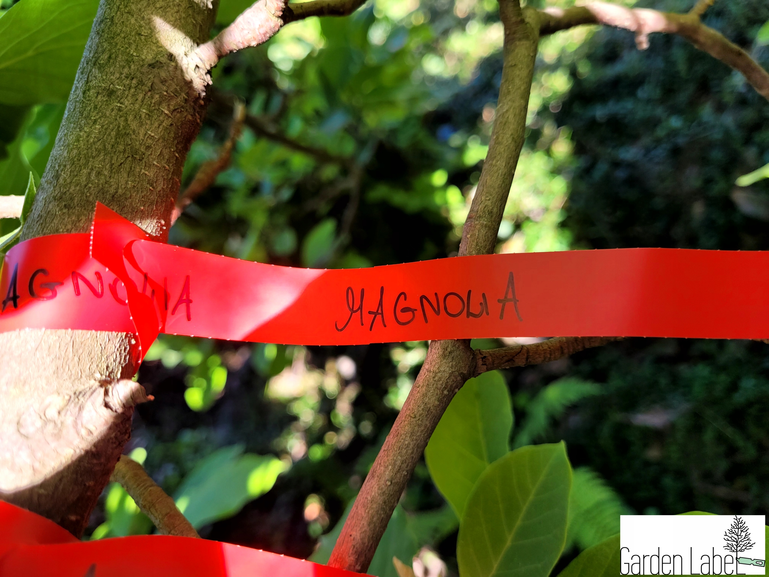 522c4be240a7c92783eff1479c2b616a