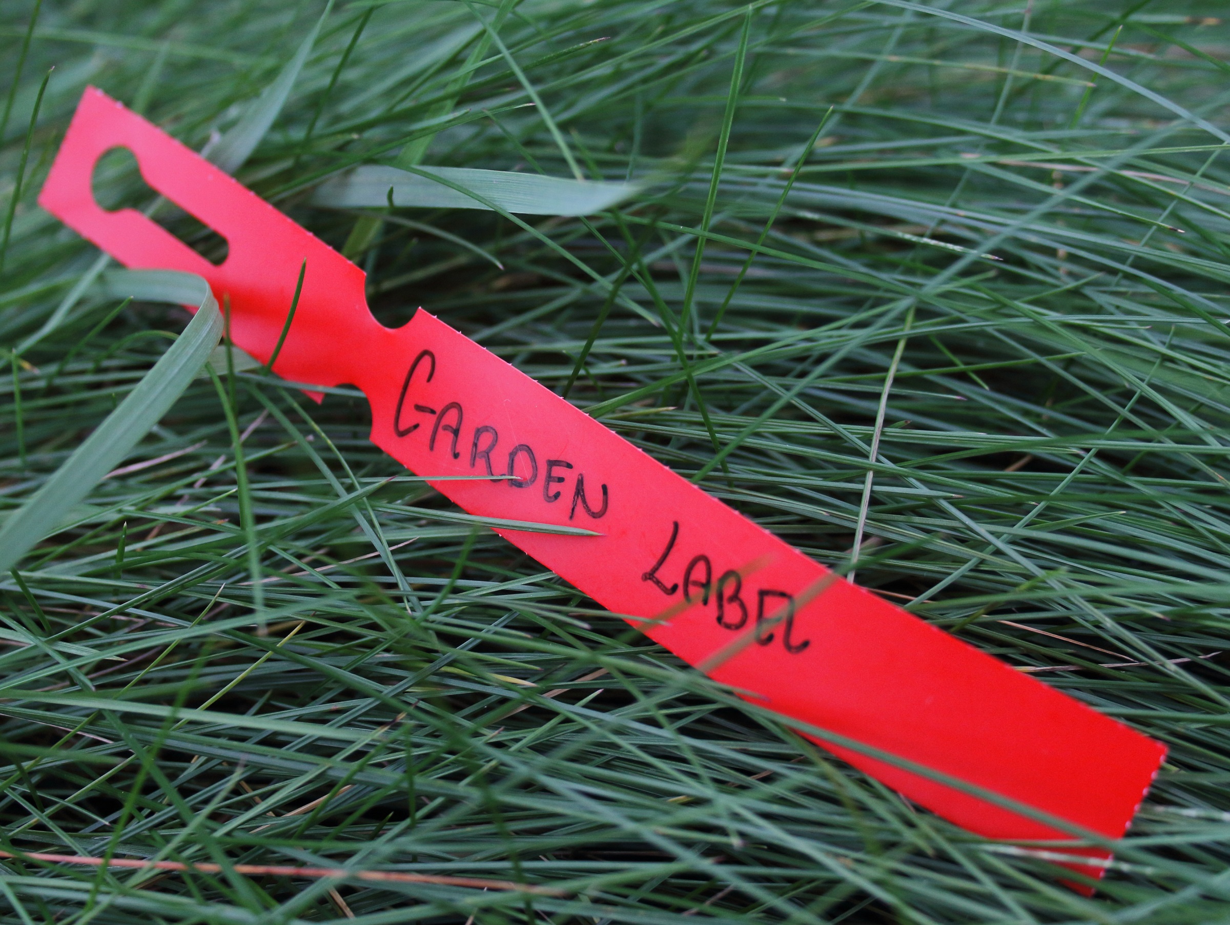 1c6b4dd71d929db39fc9d1d6d37059e2