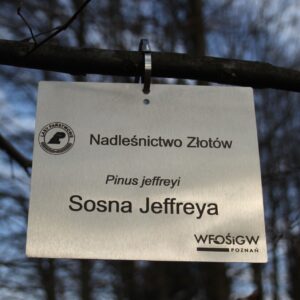 fe9c2506639af0d942d71c0a832d8b43