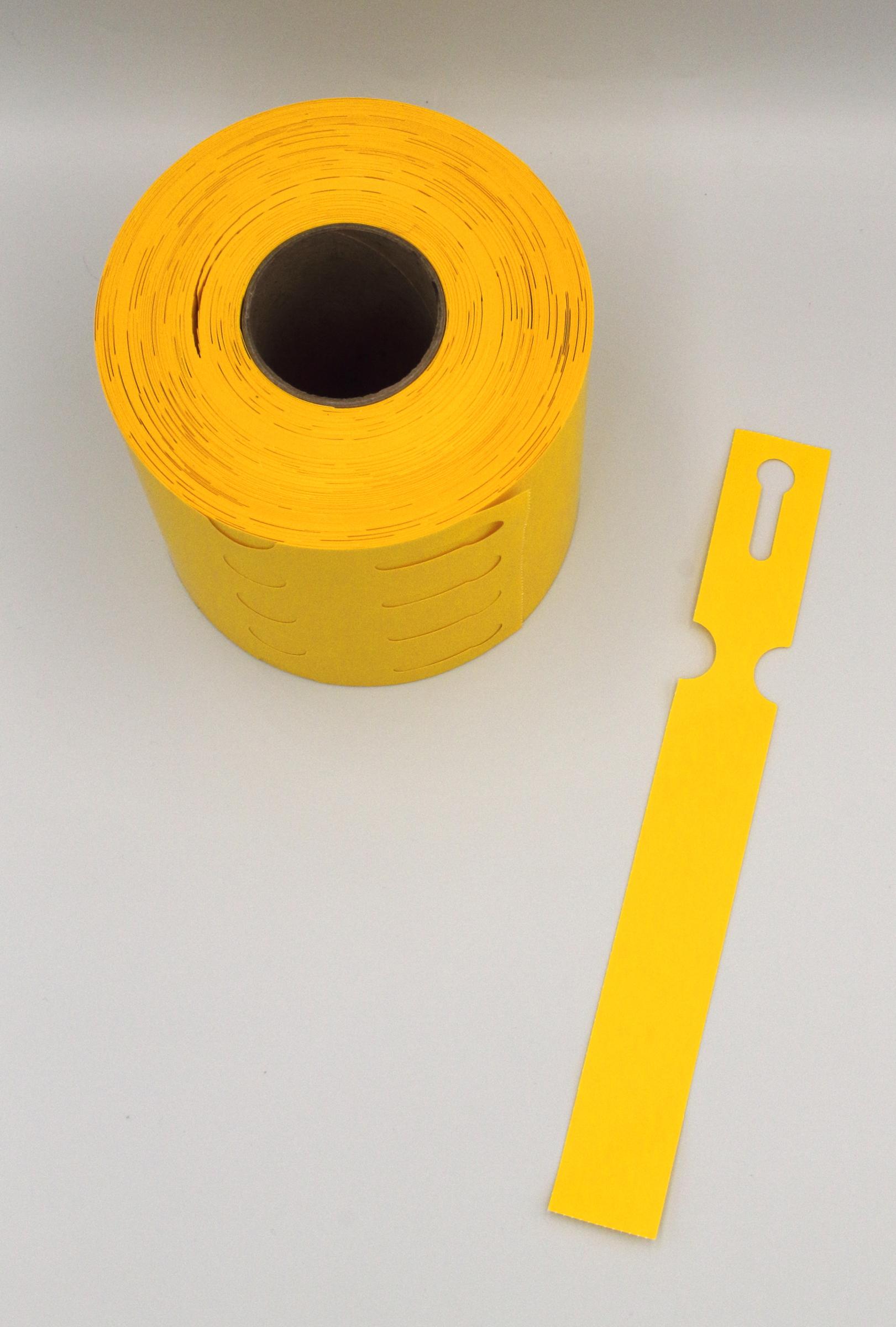 acc204f0be0b06cd21312897a3e669a3