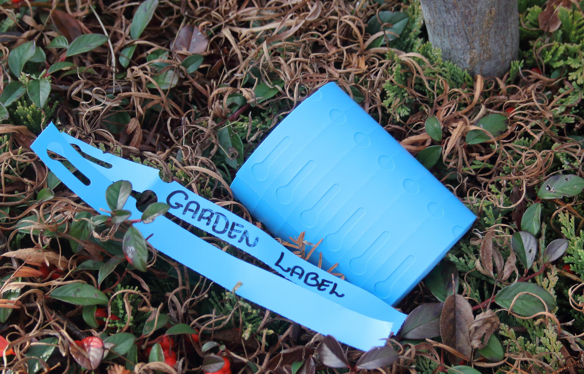 109ee054ab468fa7cd63aea2fb1d64cd