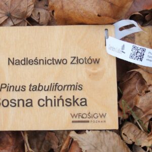 78d2d26318dcc4df273345f6b1f02a79