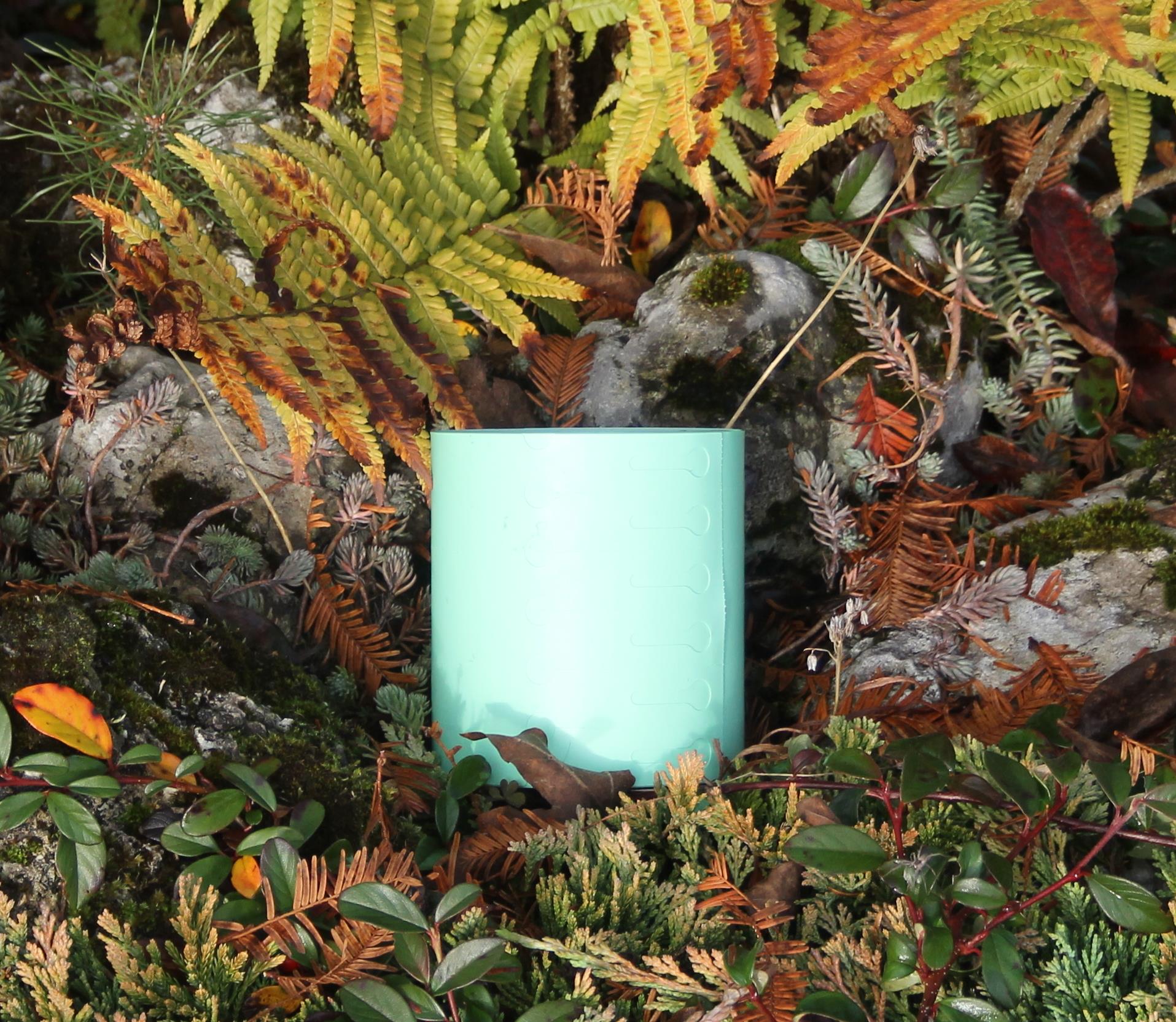 e5c5354a5c7dc1467f79c135ab0e8a81