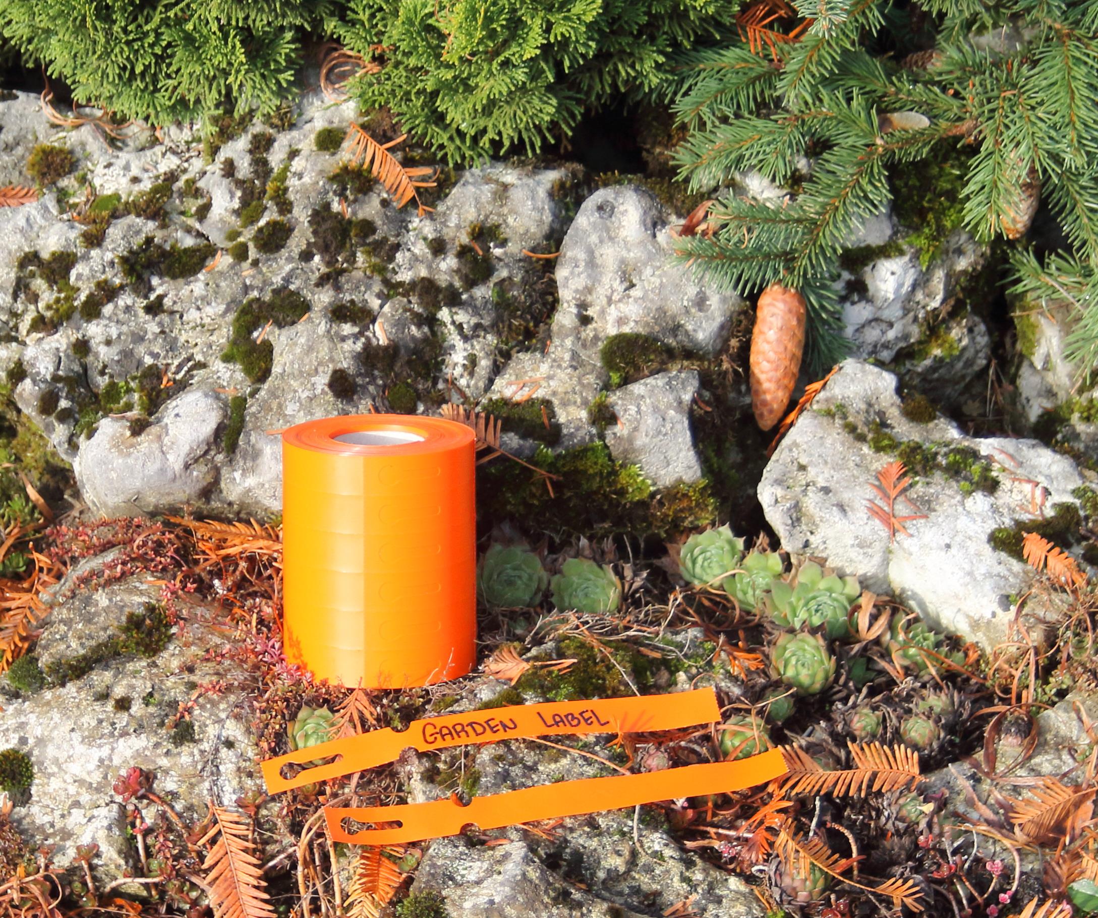 fcc8c3c5ab18c163f63ea07a5f2e7976