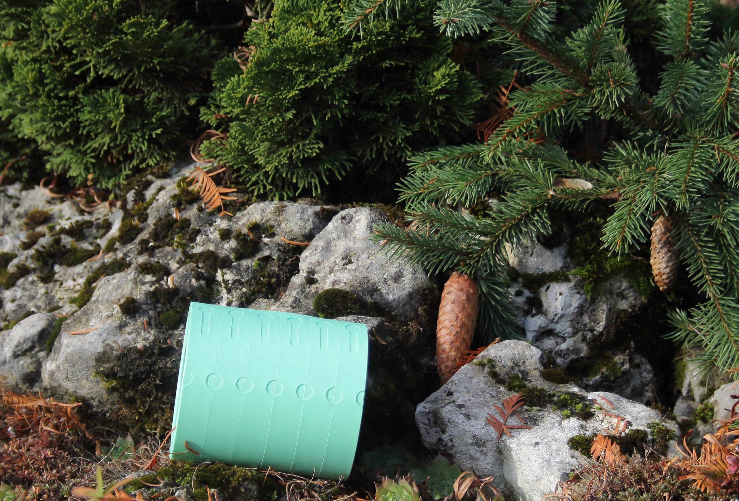 dcb08942cb1f8dfc19cdd6f4e4e5b92e