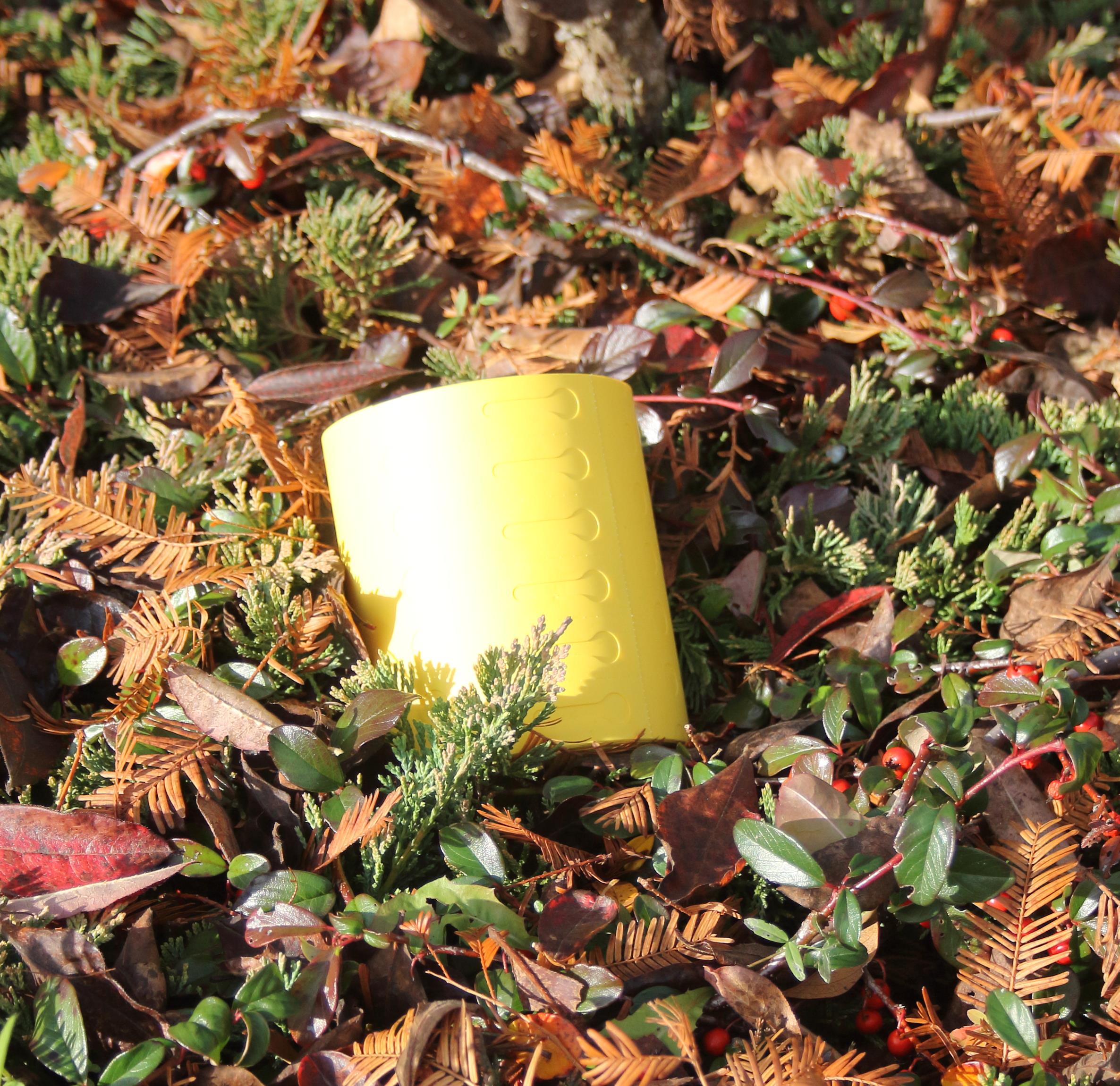 20d893f0197455467b4ed919c4b2d1ec