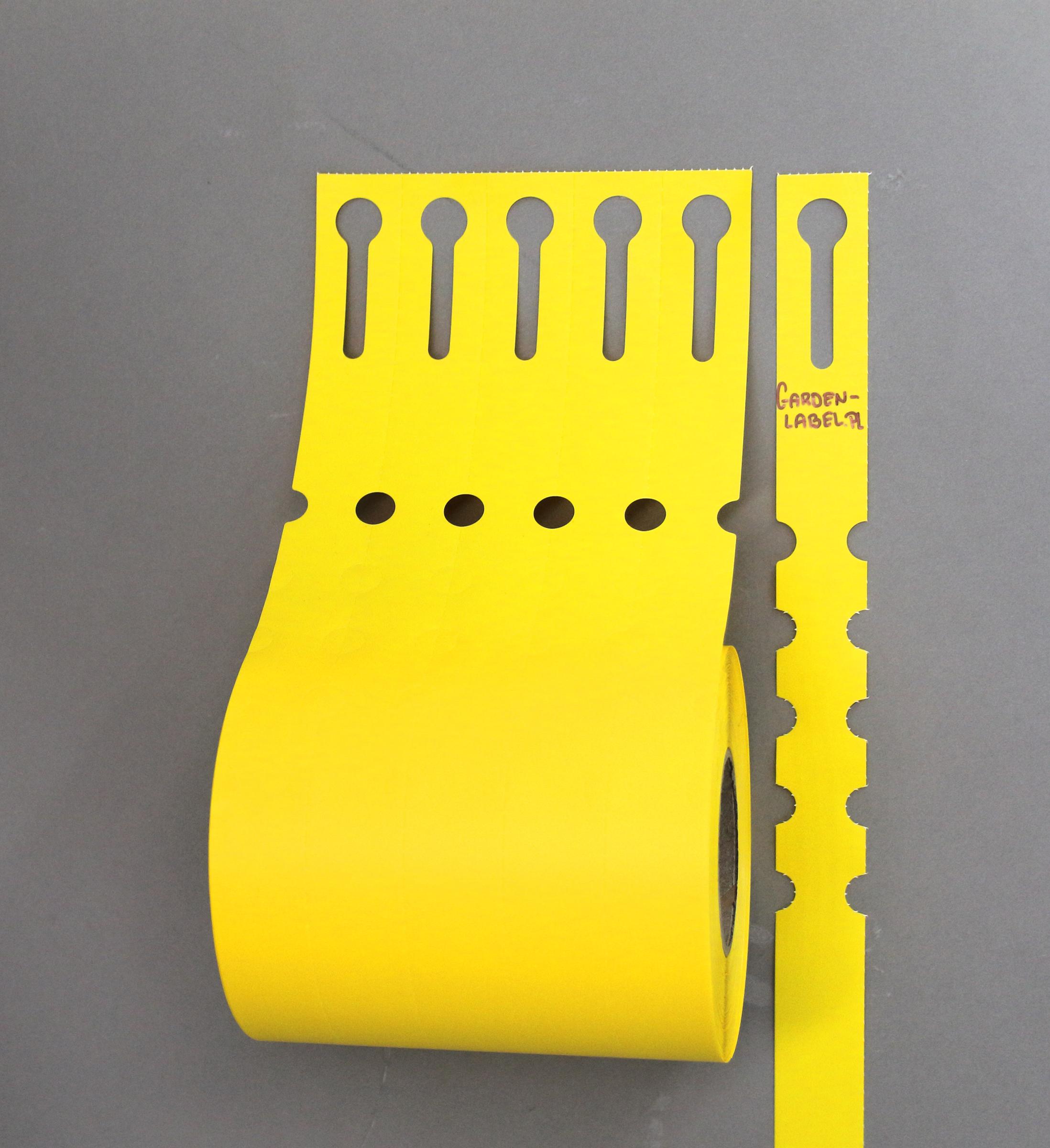 ca6fa774636a85005539bee8f6ffaa3d