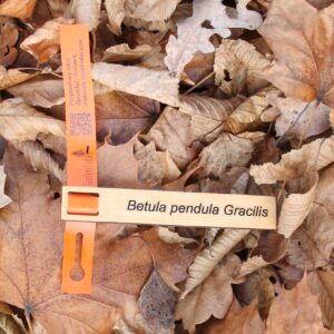 4420e9c943dc2f13630e46e42757f03e