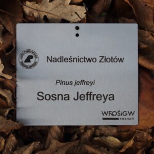 959c0286adc72ea0b56af78ae5c778b8