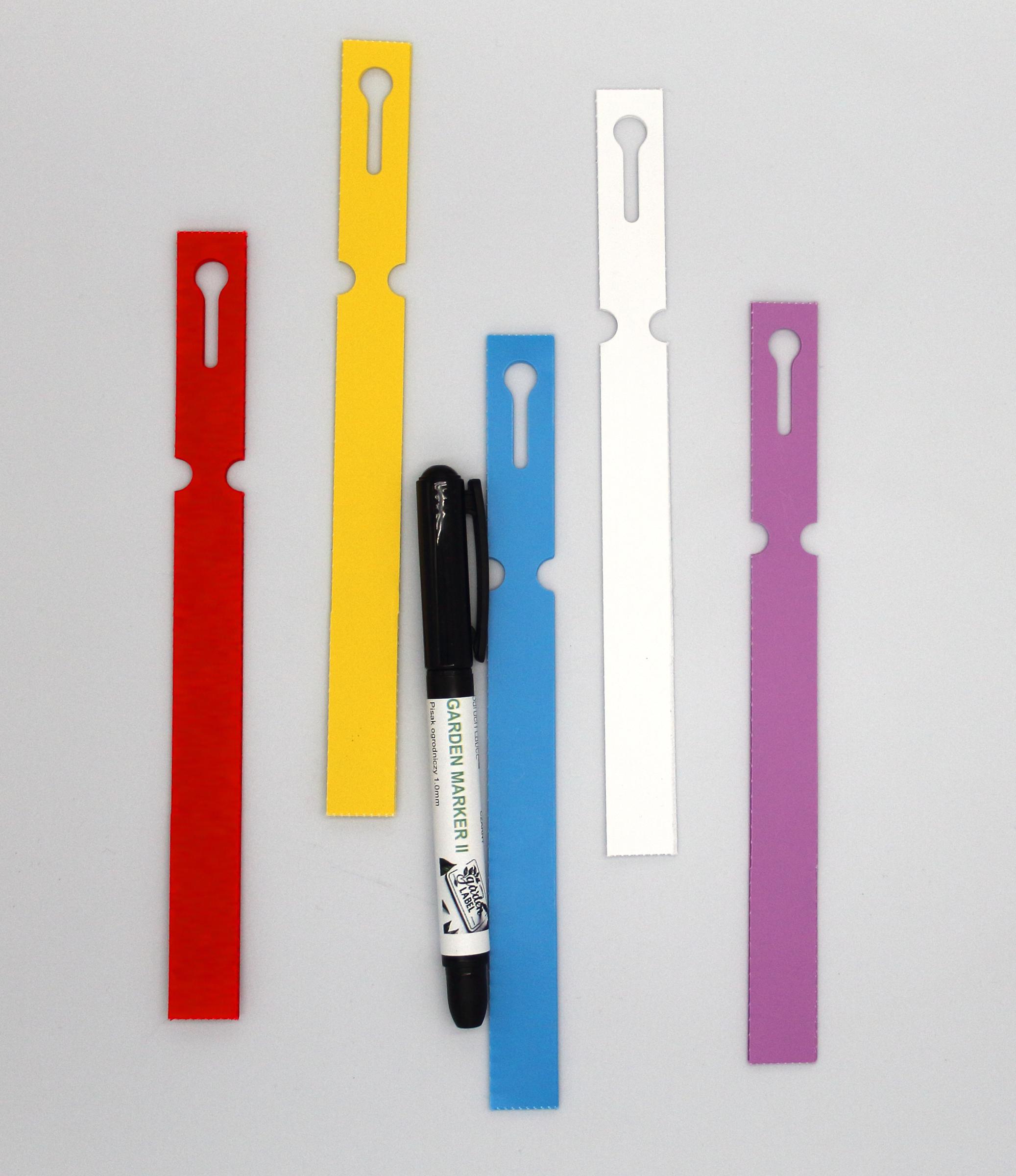 65f8393587954d2d9891c9689e2126c4