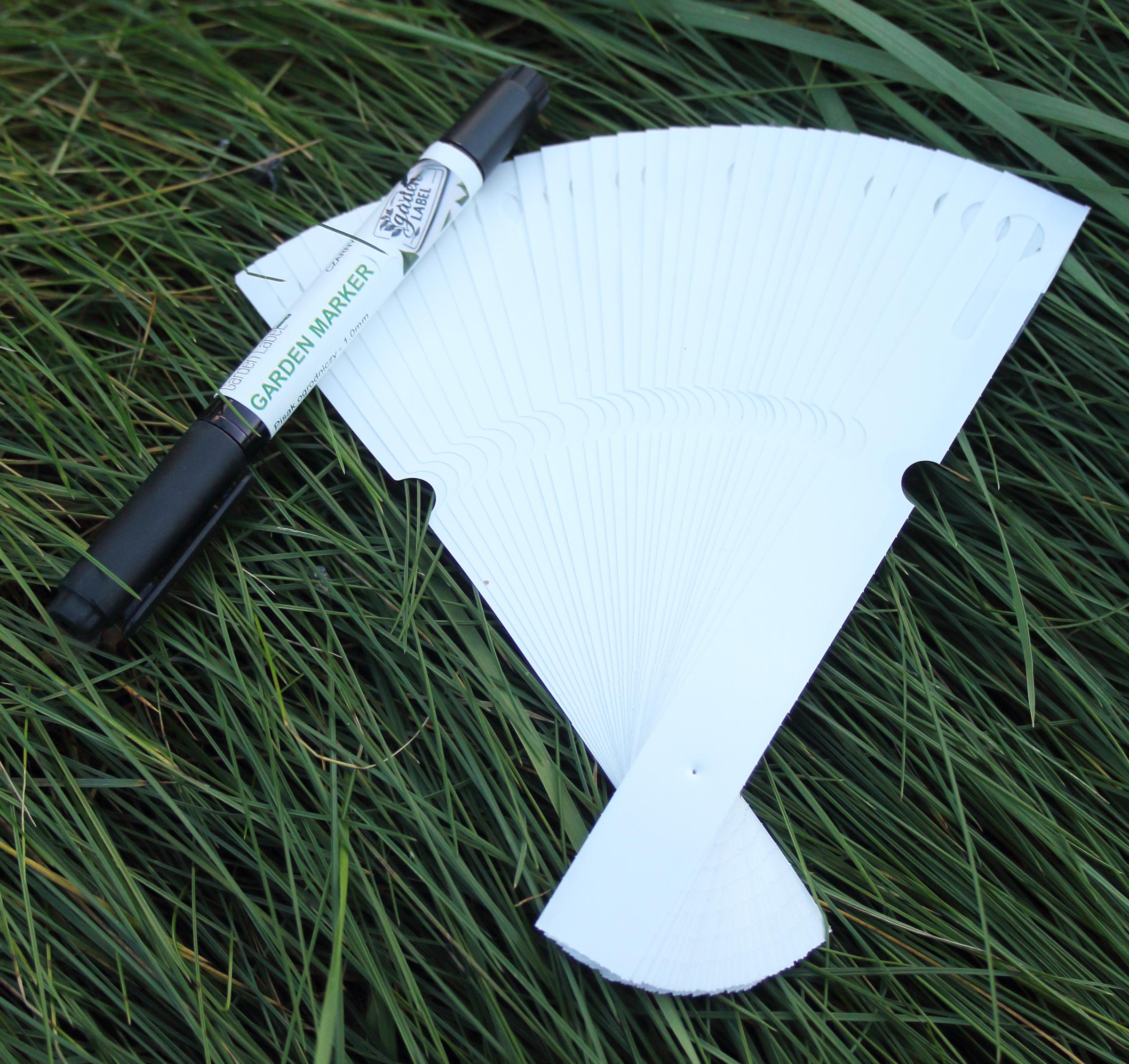 8f8cb2584987d79012c5728393e35071