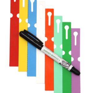 a914fcea2cb4fdac8dd84ac1e9e24fb8