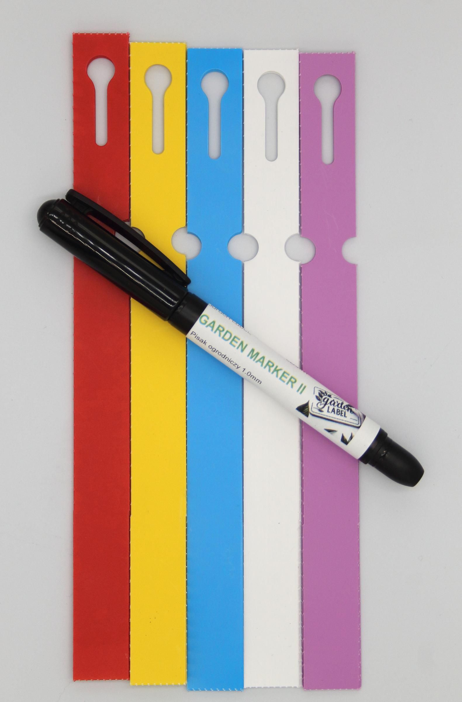 3c446dc1cc3d95046ccf51eba07f0706