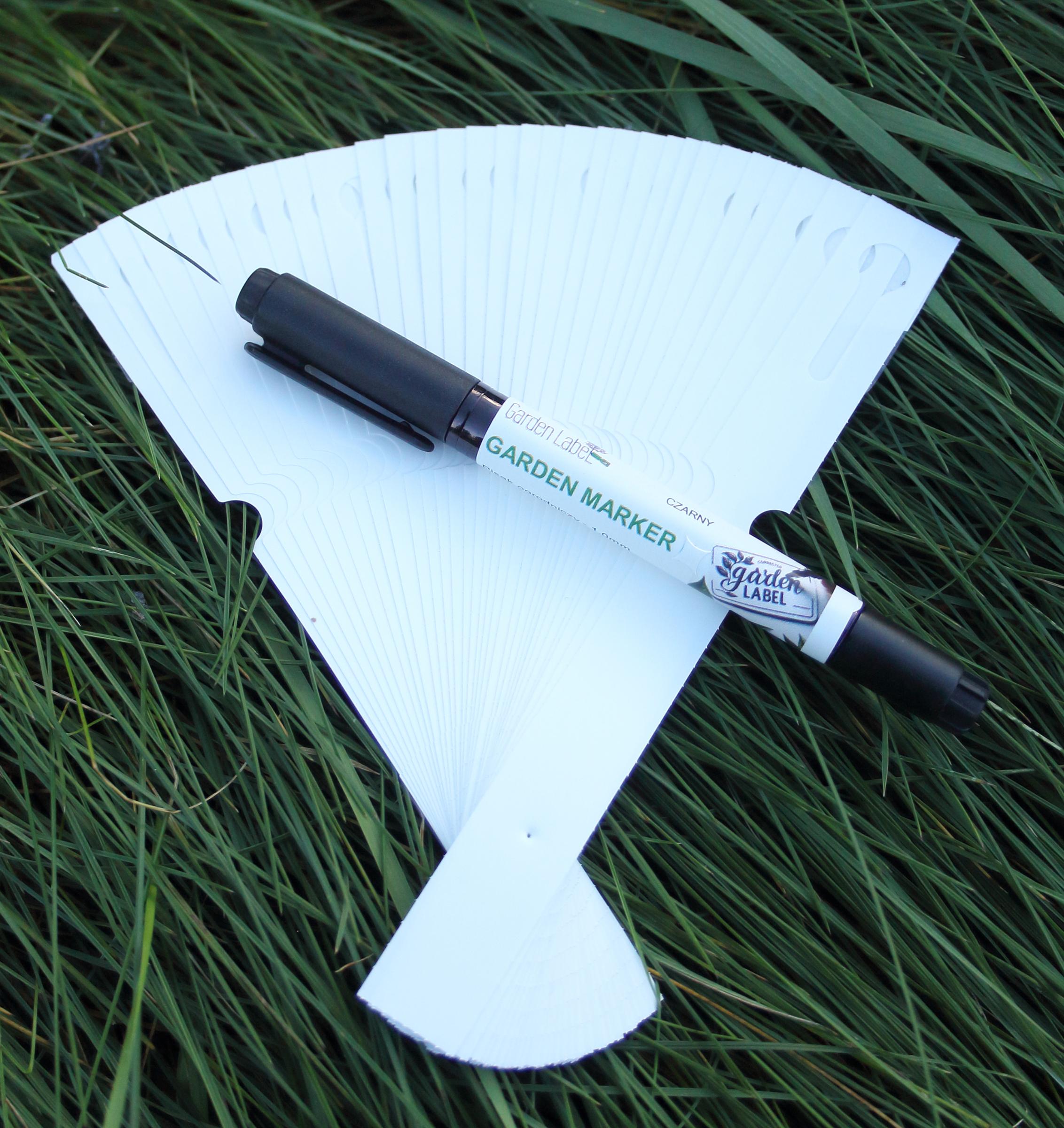 792f7cf2b4fc8ac1257af8d786546d10