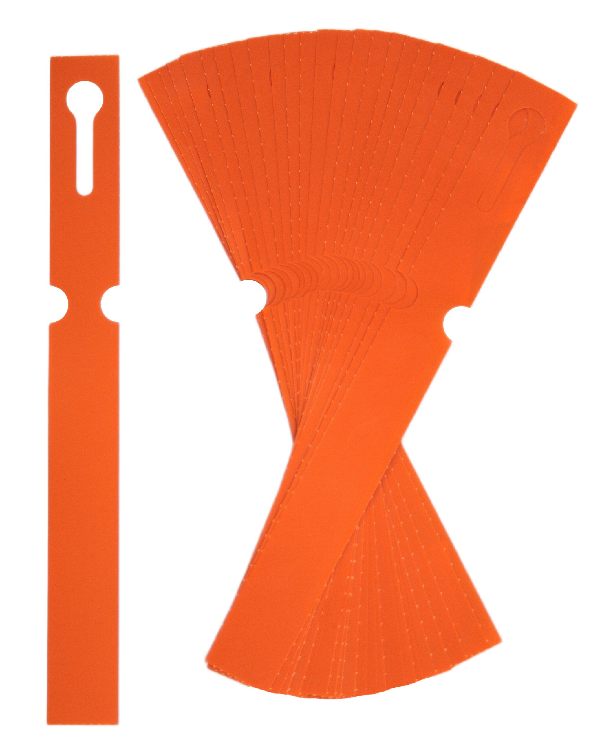 3bbab6531b48fddb82a3cf8dc8890f54