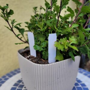 38aa070fe47673aebcb6f72946fd9f77