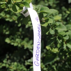 a3a55eb19b804da31667abc72dbb4a60