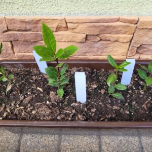 76bfbb38b426ef7a1505caae7a5fa0b9