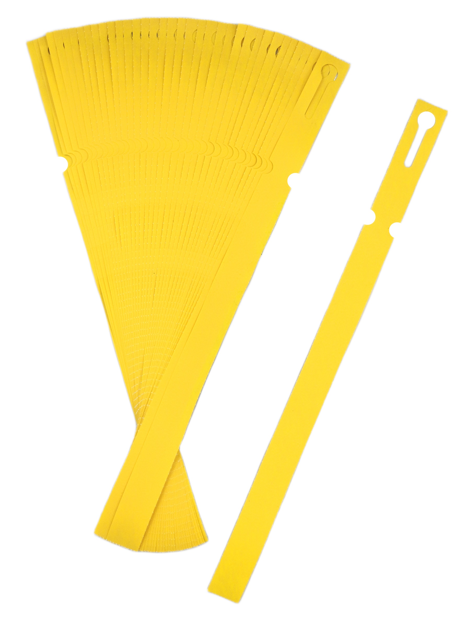 13ebc11fa8c8e72d42ffbcf0a3924d21